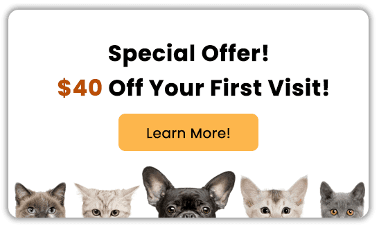Special Offer! $40 off your first visit! Learn More!